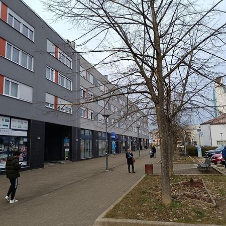 Pranjic Apartment Zaprešić Екстериор снимка